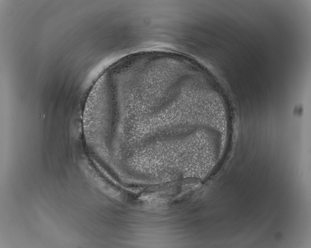 X0000112801363200909181527