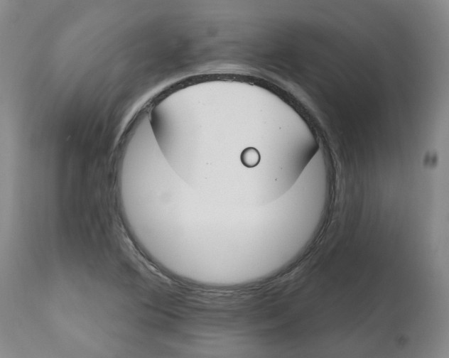 X0000112801364200909181527