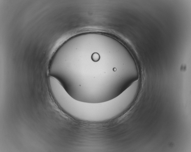 X0000112801365200909181527