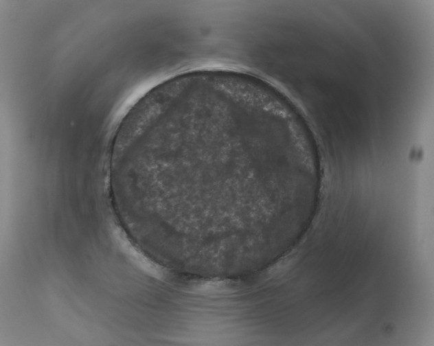 X0000112801367200909181527