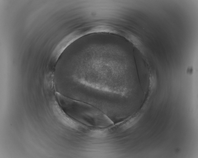 X0000112801369200909181527