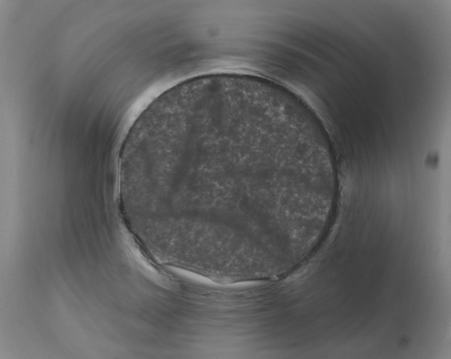 X0000112801371200909181527