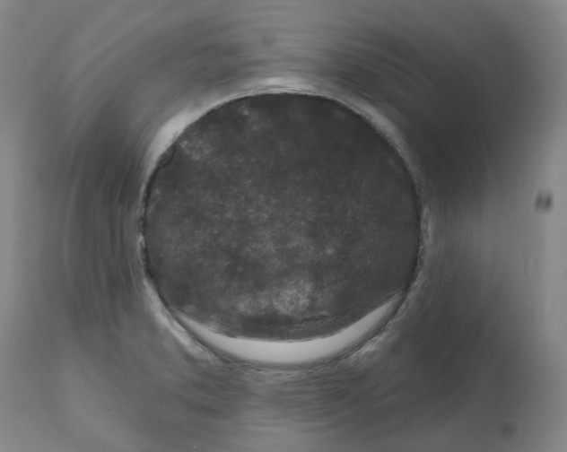 X0000112801373200909181527
