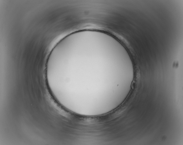 X0000112801375200909181527