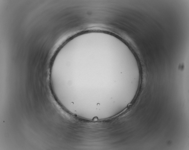 X0000112801376200909181527