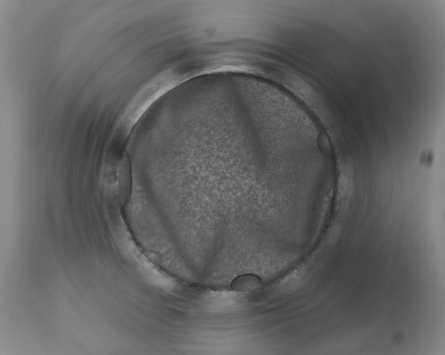 X0000112801377200909181527