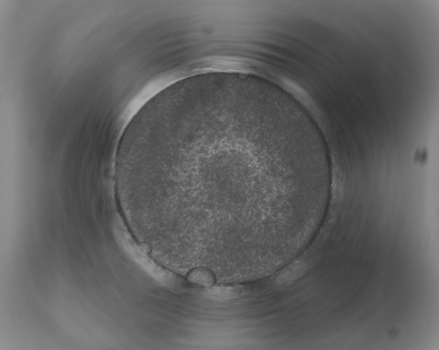 X0000112801378200909181527