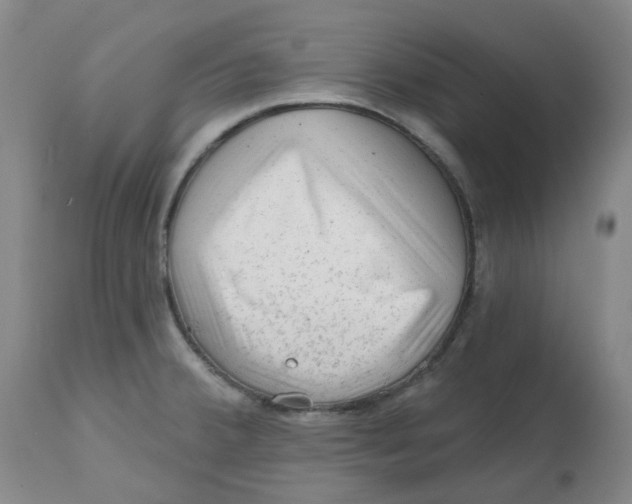 X0000112801380200909181527