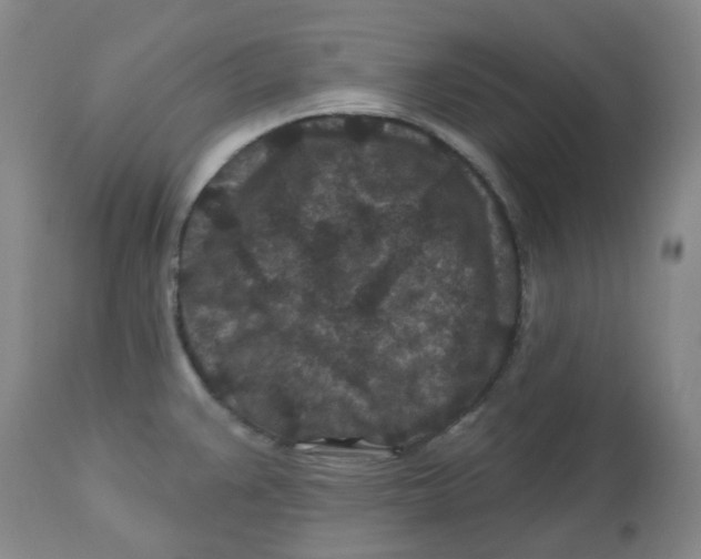 X0000112801383200909181527