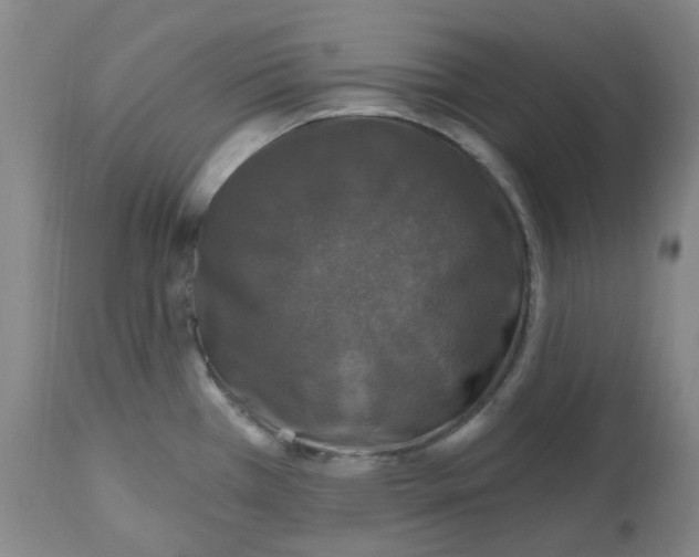 X0000112801385200909181527