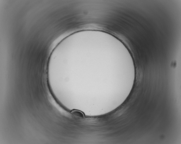 X0000112801387200909181526