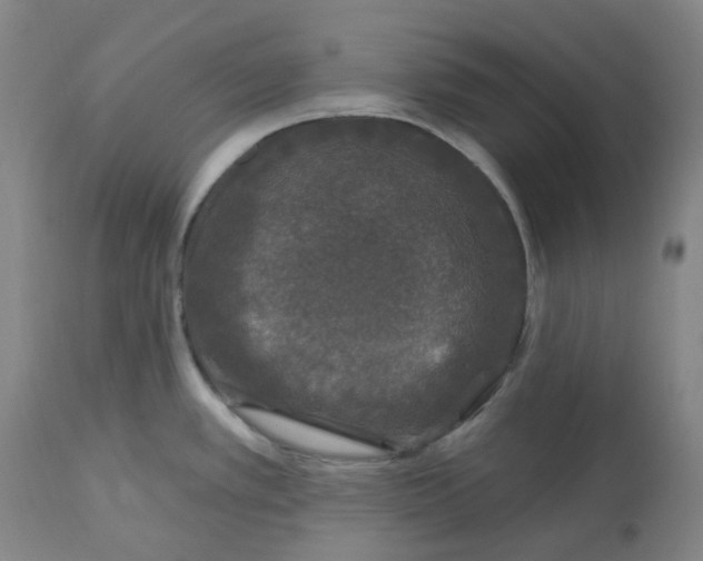 X0000112801389200909181526