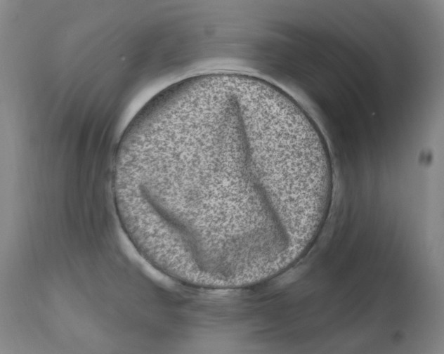 X0000112801390200909181526