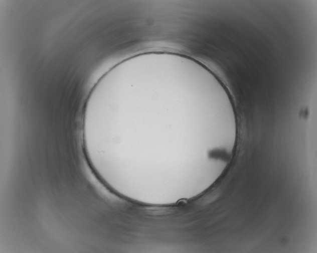 X0000112801391200909181526