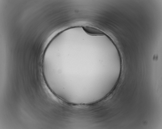 X0000112801392200909181526