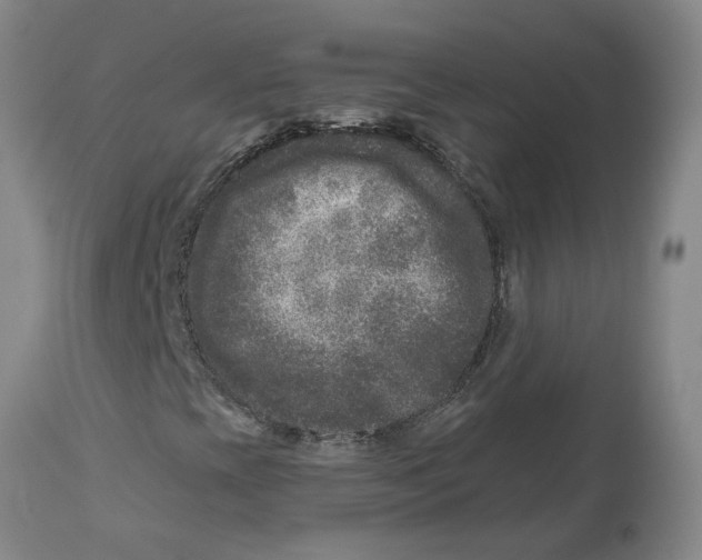 X0000112801393200909181526