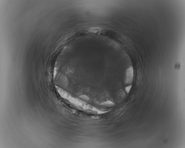 X0000112801394200909181526