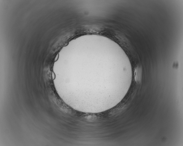 X0000112801395200909181526