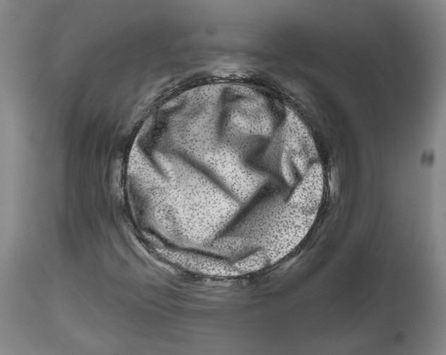 X0000112801396200909181526