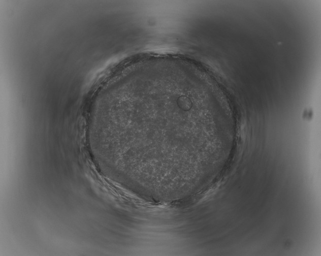 X0000112801398200909181526