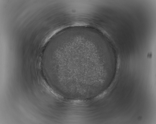 X0000112801401200909181526