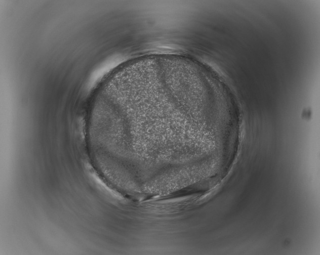 X0000112801402200909181526