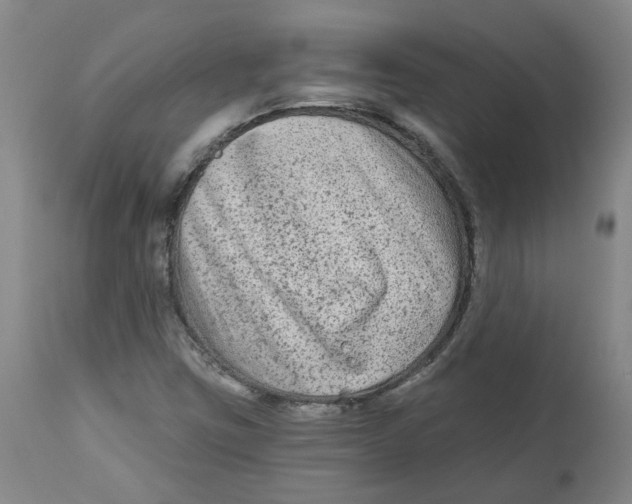 X0000112801403200909181526
