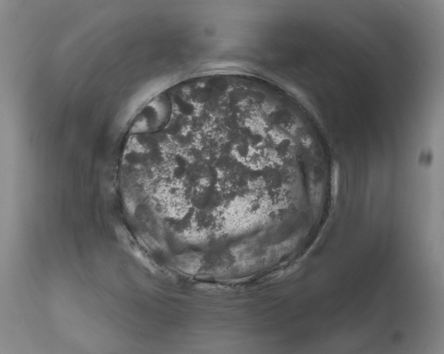 X0000112801405200909181526