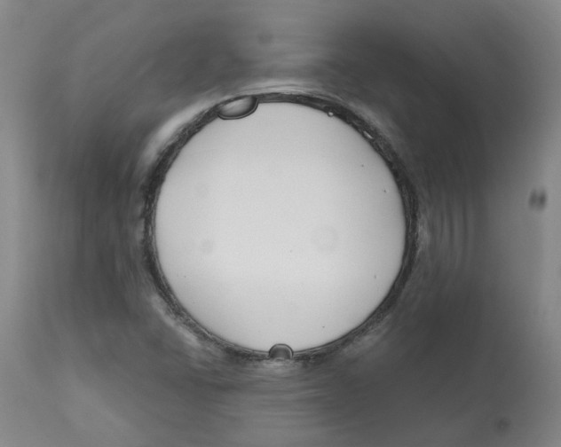 X0000112801406200909181526