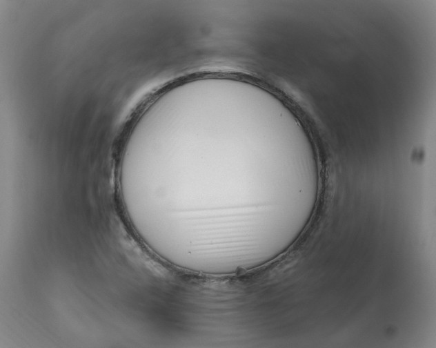 X0000112801408200909181526