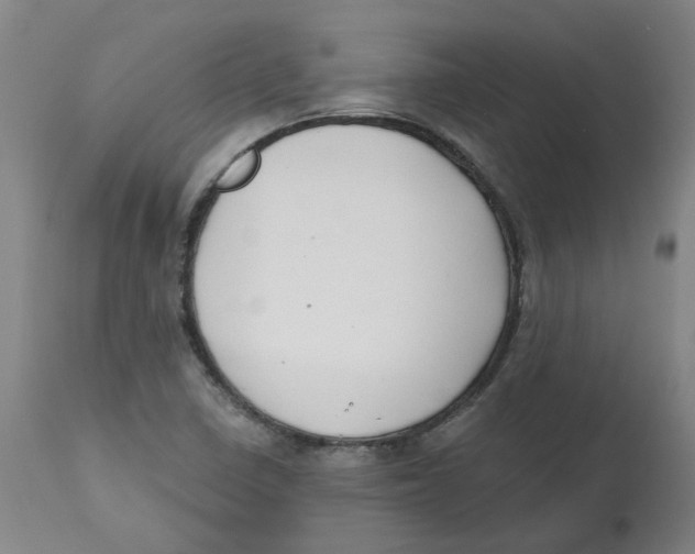 X0000112801410200909181526