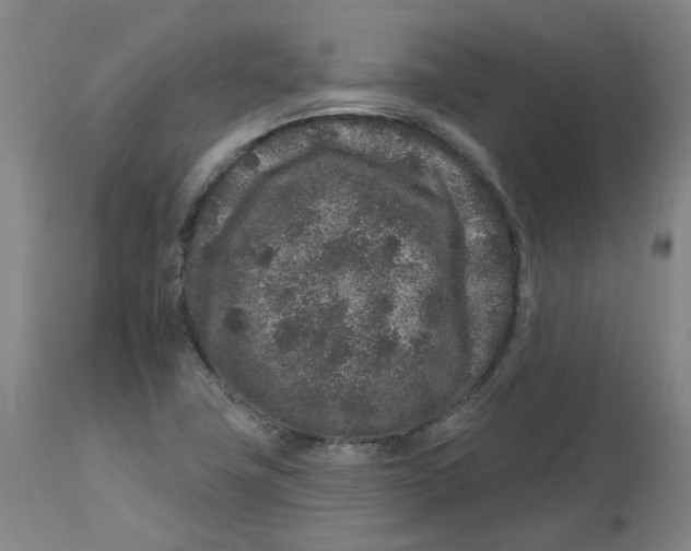 X0000112801411200909181526
