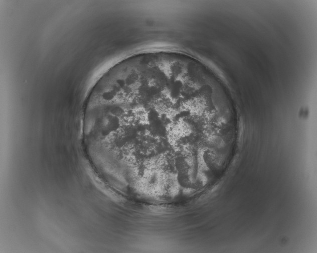 X0000112801413200909181526