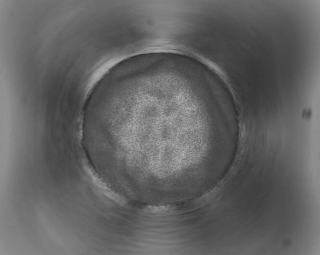 X0000112801415200909181526