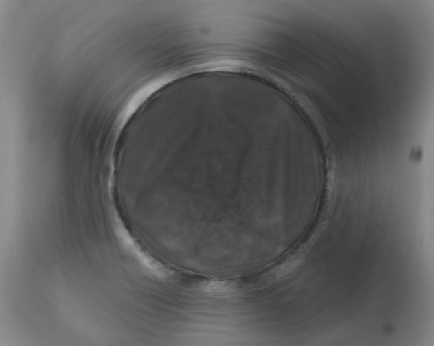 X0000112801418200909181526