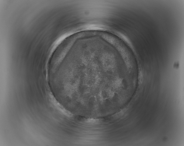 X0000112801419200909181526