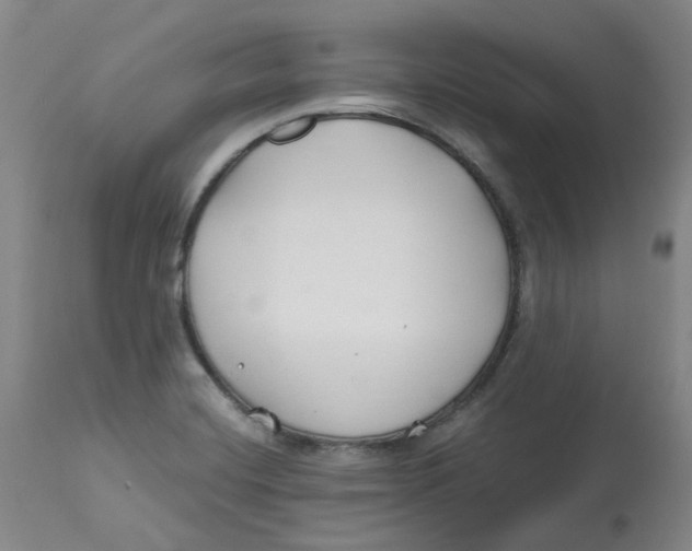 X0000112801420200909181526
