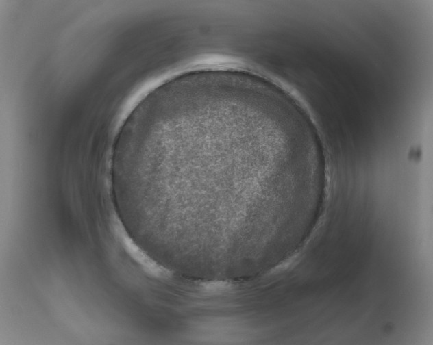X0000112801421200909181526