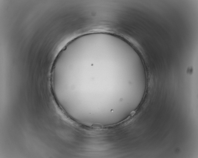 X0000112801423200909181526