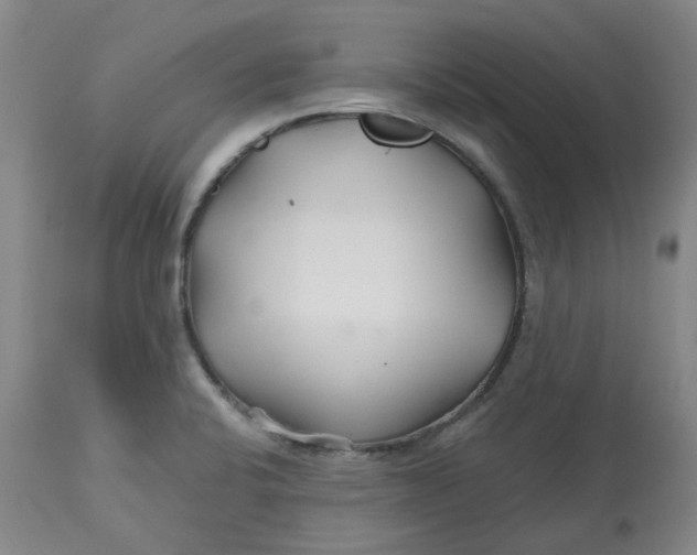 X0000112801424200909181526