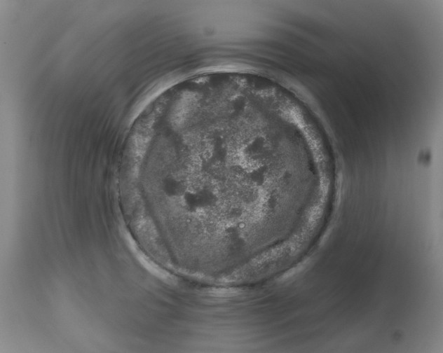 X0000112801425200909181526
