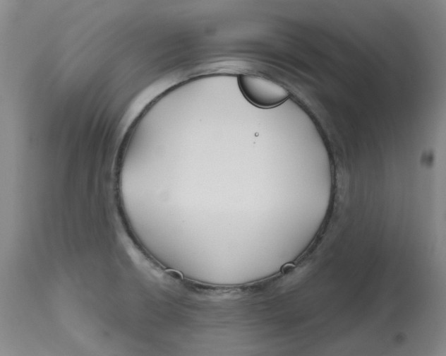 X0000112801426200909181526