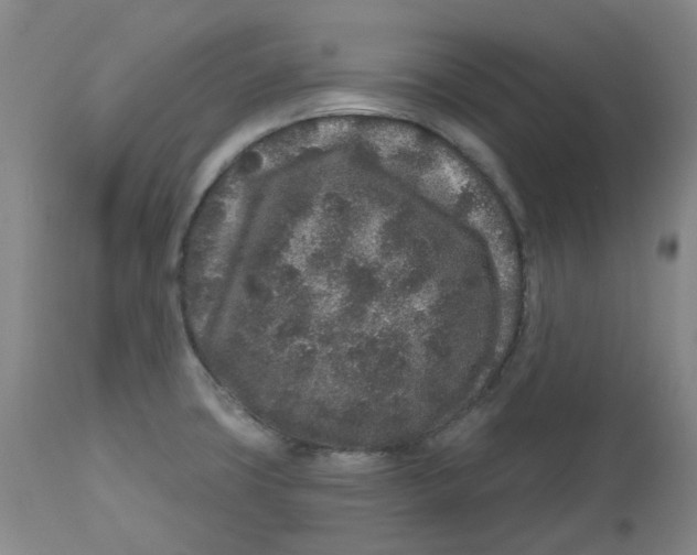 X0000112801427200909181526