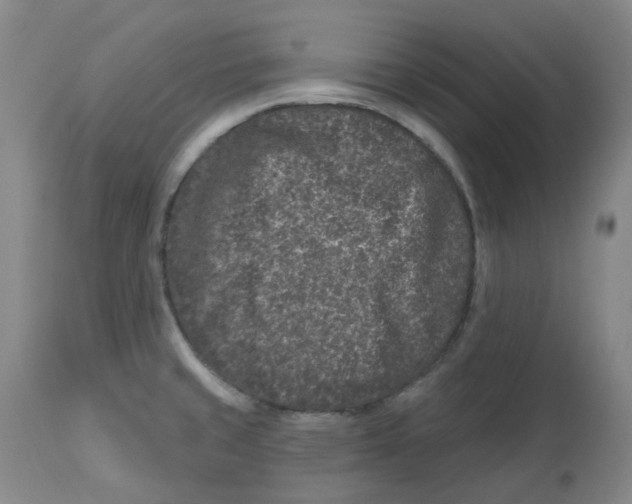 X0000112801429200909181526