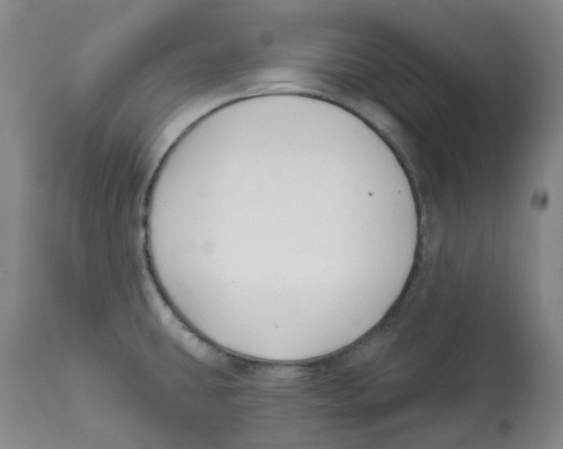 X0000112801431200909181526