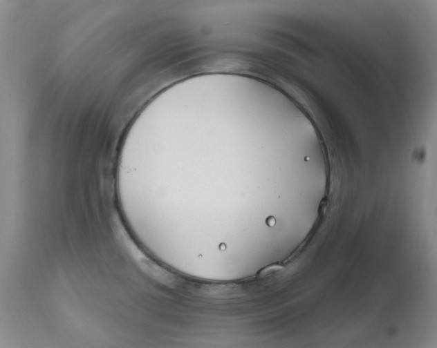 X0000112801434200909181526