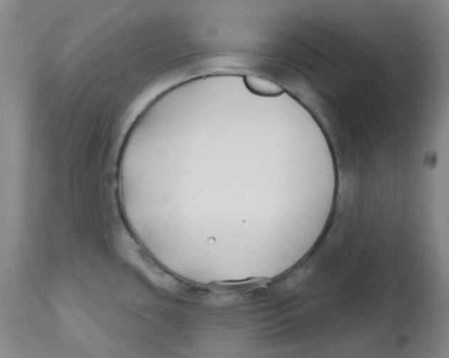X0000112801435200909181526