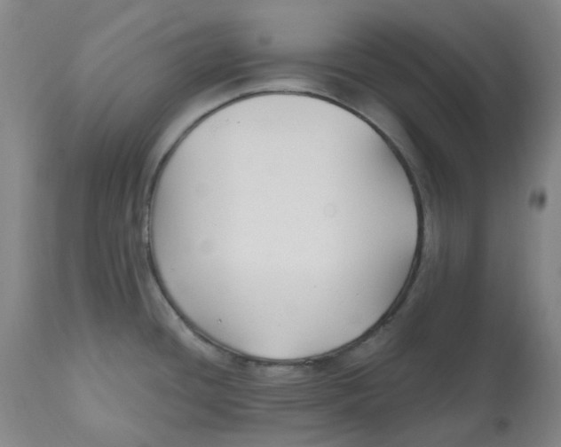 X0000112801436200909181526