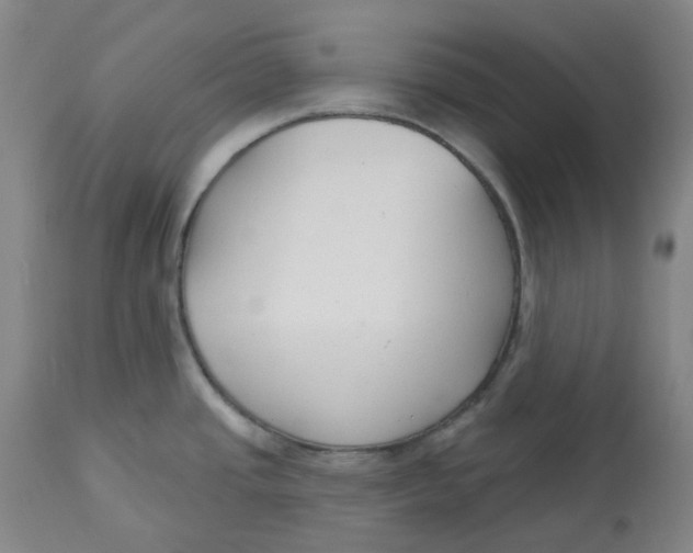 X0000112801437200909181526