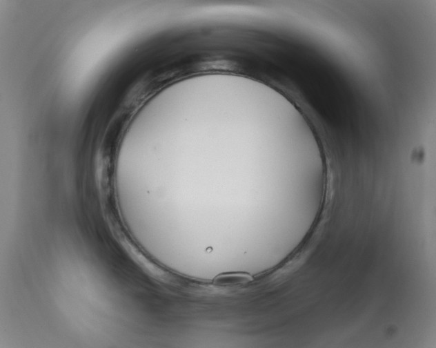 X0000112801438200909181526